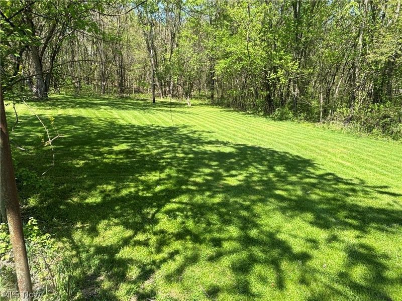1108-1/2 Milan Street N, Canal Fulton, OH 44614 Photo 2