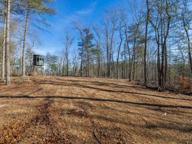 24.97 ac STRIBLING SPRINGS RD, MOUNT SOLON, VA 22843