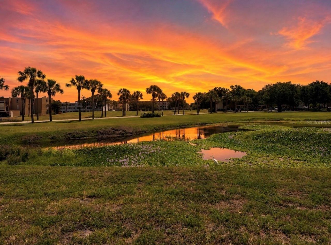 200 Country Club Drive , Unit 1505, Largo, FL 33771 Photo