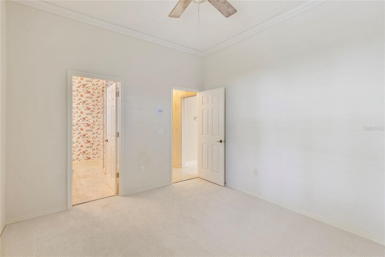 50 Kelleys Trail, Oldsmar, FL 34677 Photo