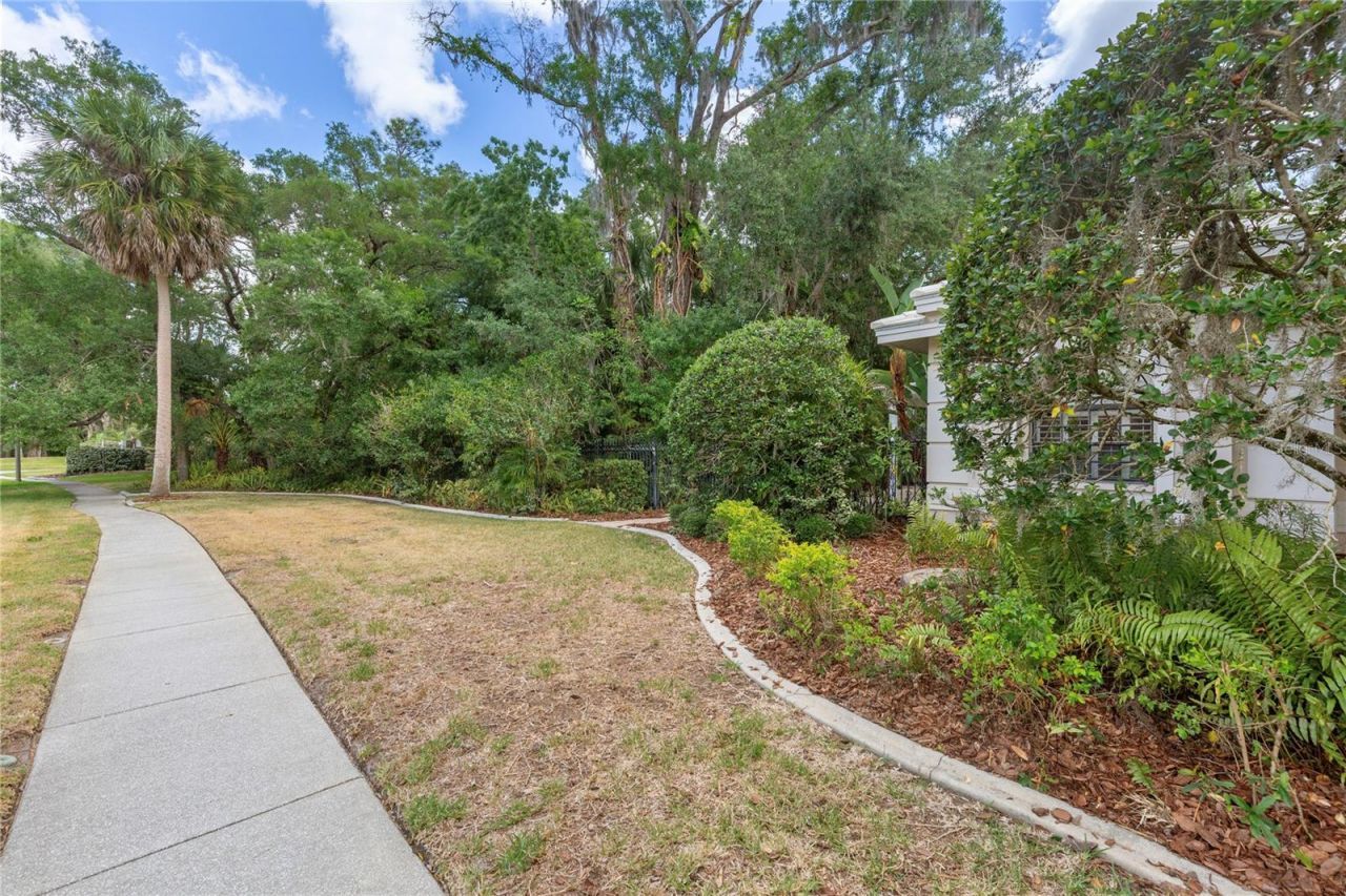 50 Kelleys Trail, Oldsmar, FL 34677 Photo