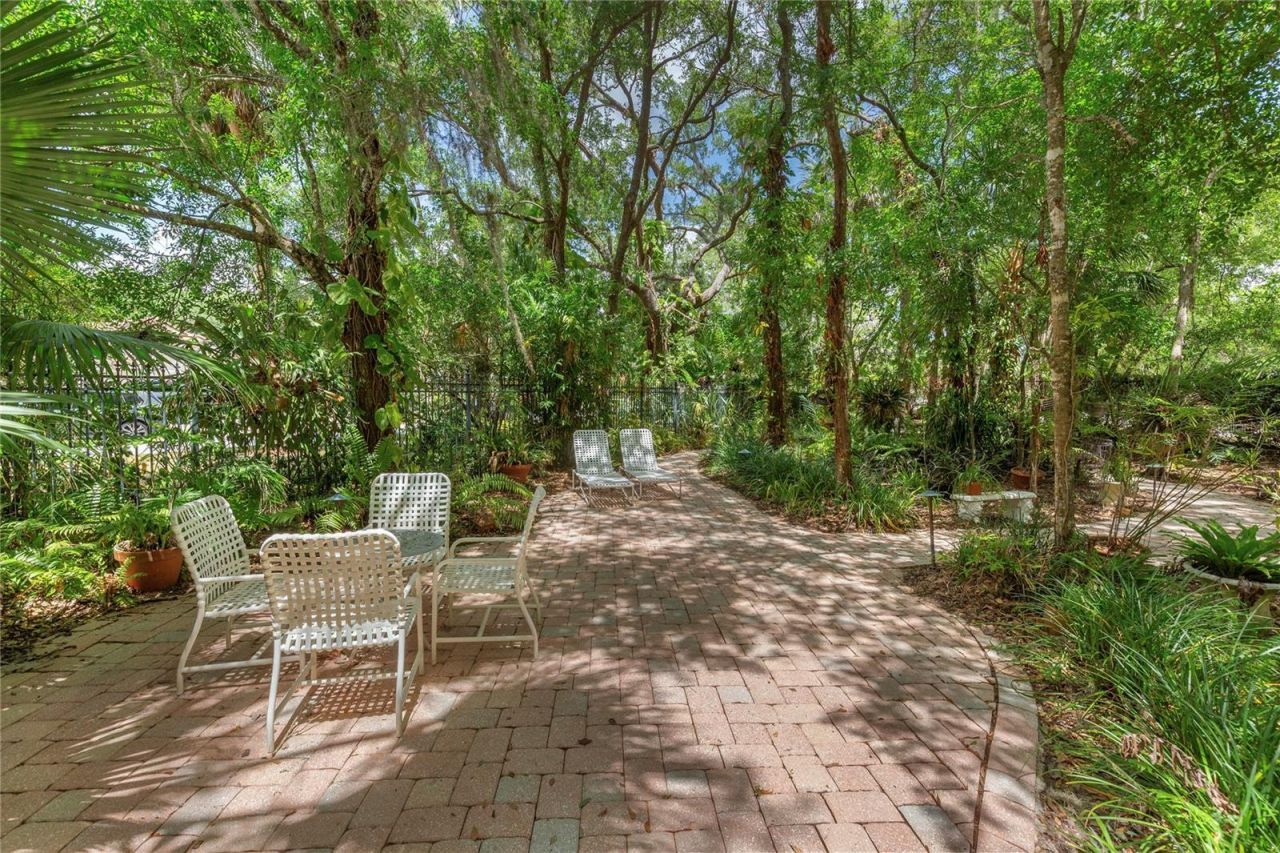 50 Kelleys Trail, Oldsmar, FL 34677 Photo