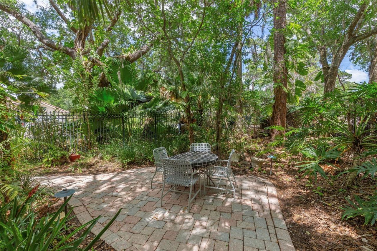 50 Kelleys Trail, Oldsmar, FL 34677 Photo