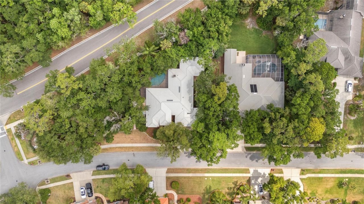 50 Kelleys Trail, Oldsmar, FL 34677 Photo