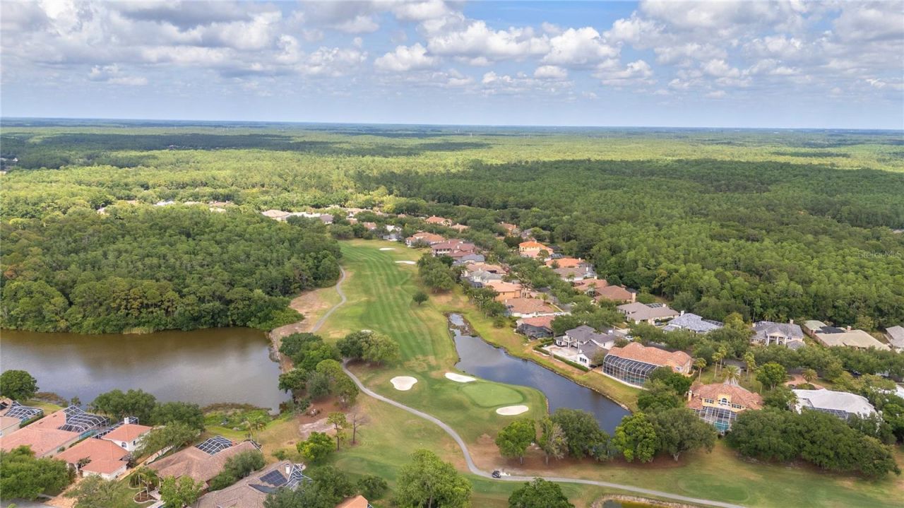 50 Kelleys Trail, Oldsmar, FL 34677 Photo