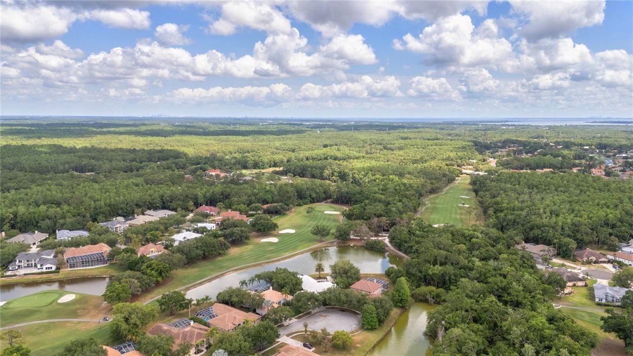 50 Kelleys Trail, Oldsmar, FL 34677 Photo