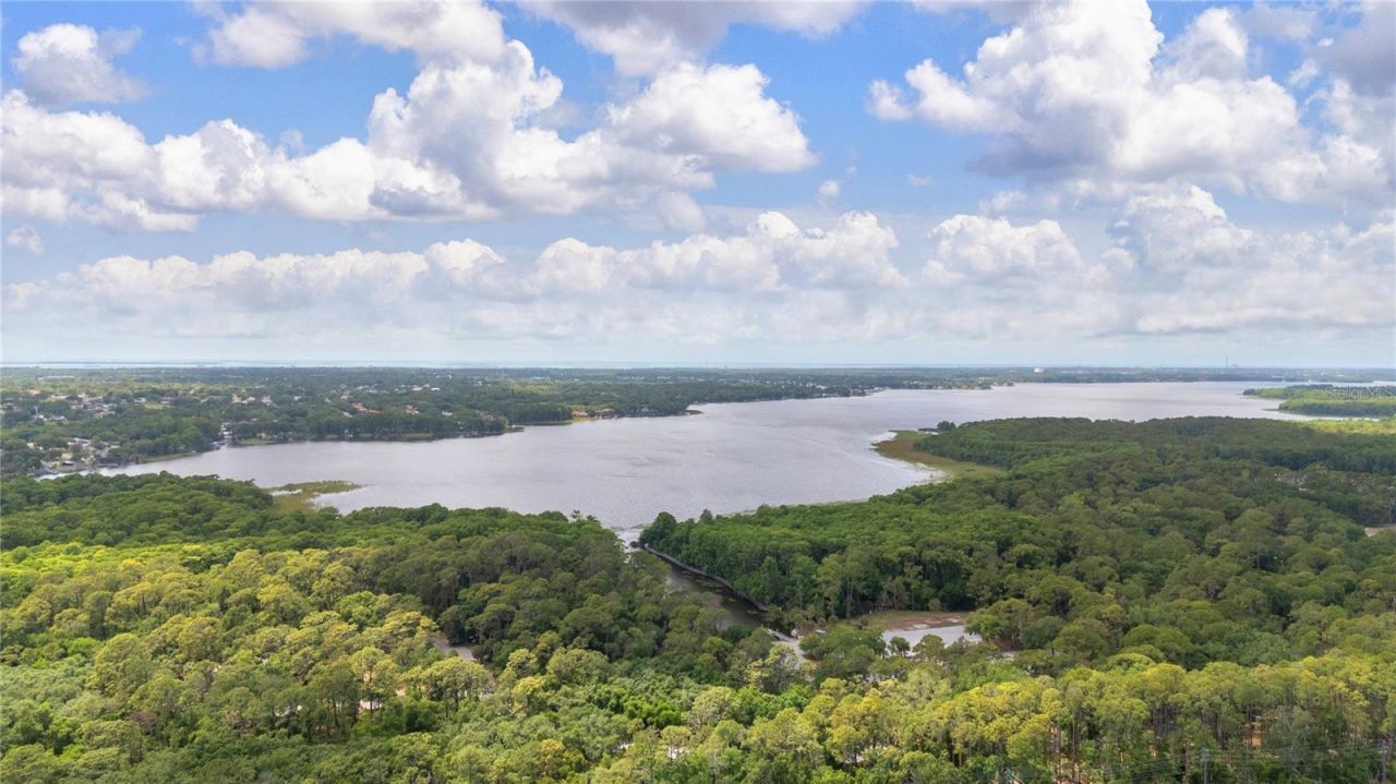 50 Kelleys Trail, Oldsmar, FL 34677 Photo