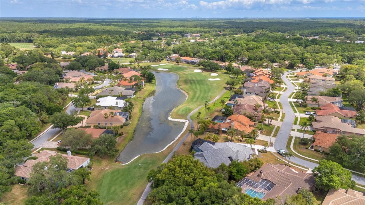 50 Kelleys Trail, Oldsmar, FL 34677 Photo