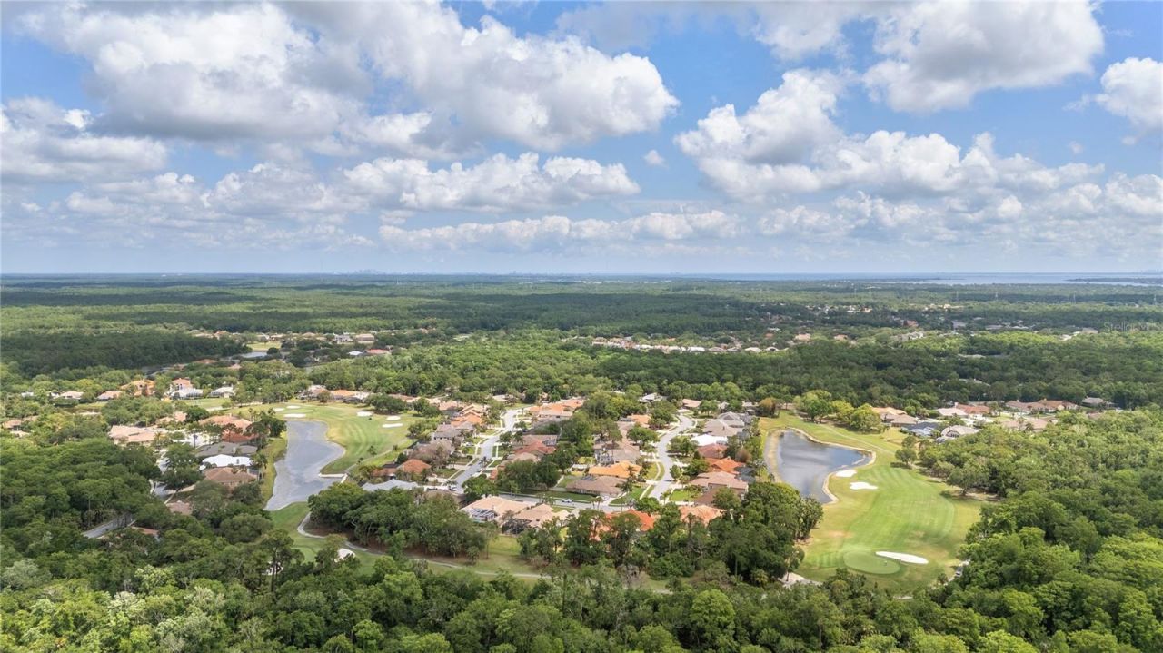 50 Kelleys Trail, Oldsmar, FL 34677 Photo