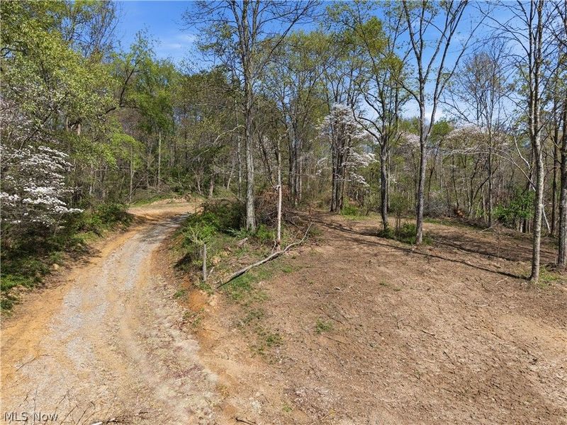 59674 Yoker Valley Road, Quaker City, OH 43773 Photo 41