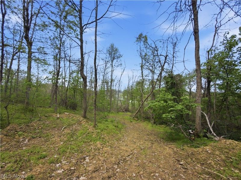 59674 Yoker Valley Road, Quaker City, OH 43773 Photo 46