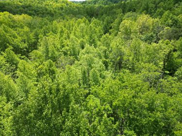 9999 Chestnut Flat Road, McKee, KY 40447