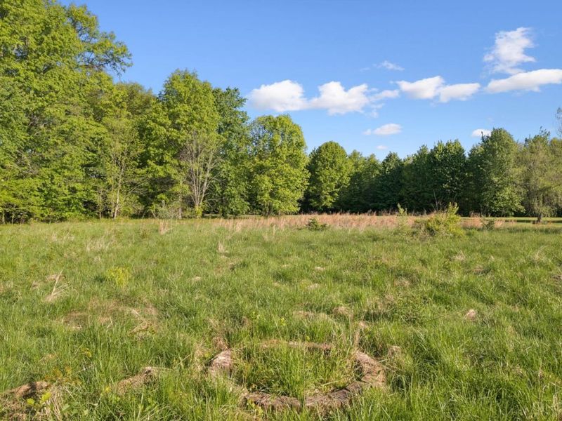 15503 Crawford Day Road, Green Township, OH 45154 Photo 35