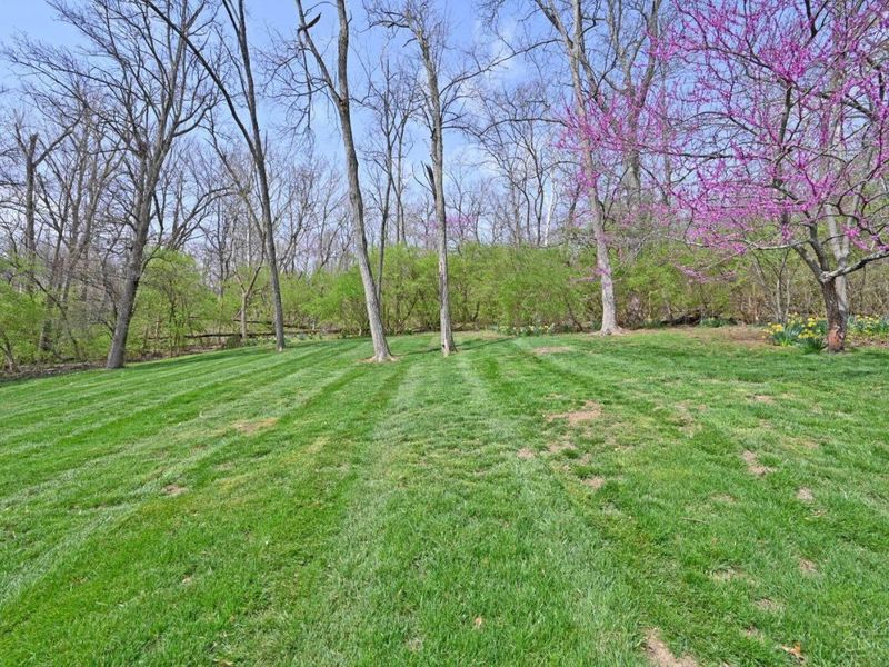 9967 Morganstrace Drive, Symmes Township, OH 45140 Photo 47