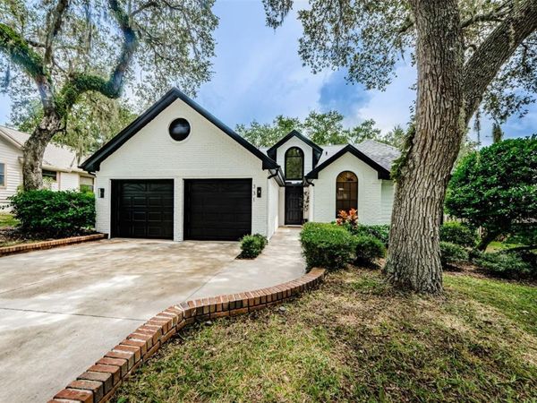 331 CASCADE LANE, PALM HARBOR, FL 34684