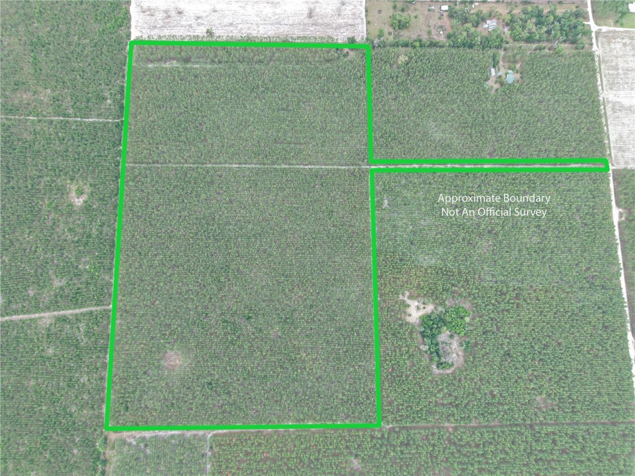 Tbd SE Pearl Fletcher Road, Branford, FL 32008 Photo