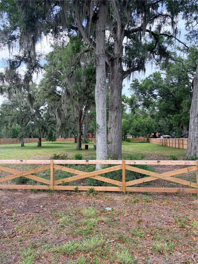 Brooker , Brandon, FL 33511 Photo