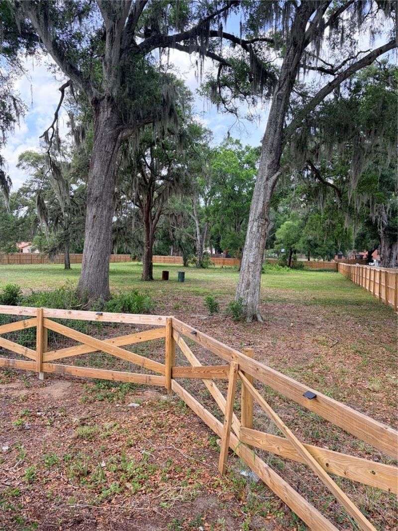 Brooker , Brandon, FL 33511 Photo