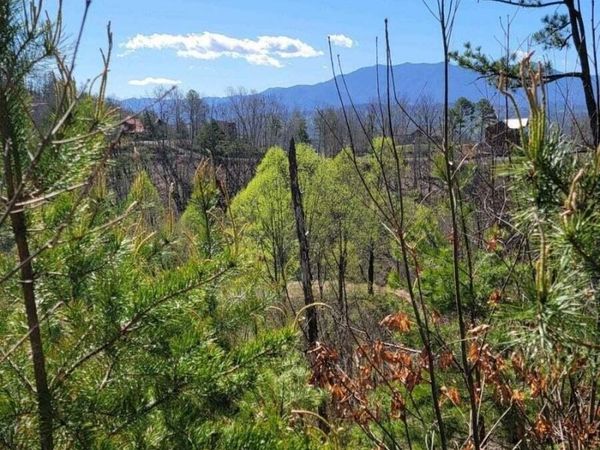 0 Walker Trail Tr , Sevierville, TN 37876