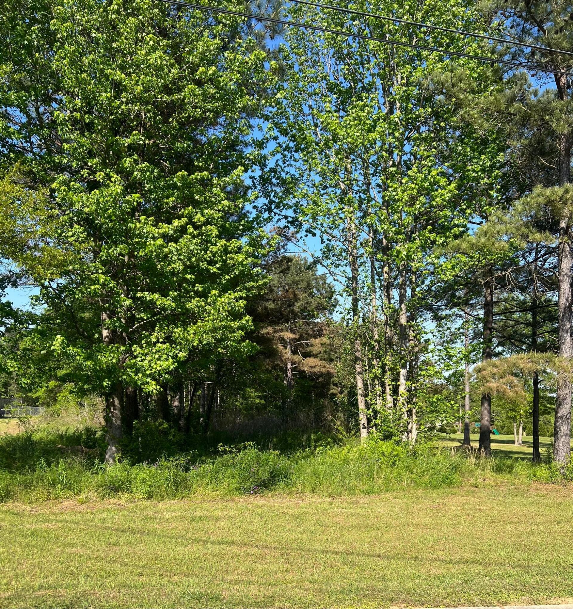8417 Dawson Ln, Dora, AL 35062 Main Photo