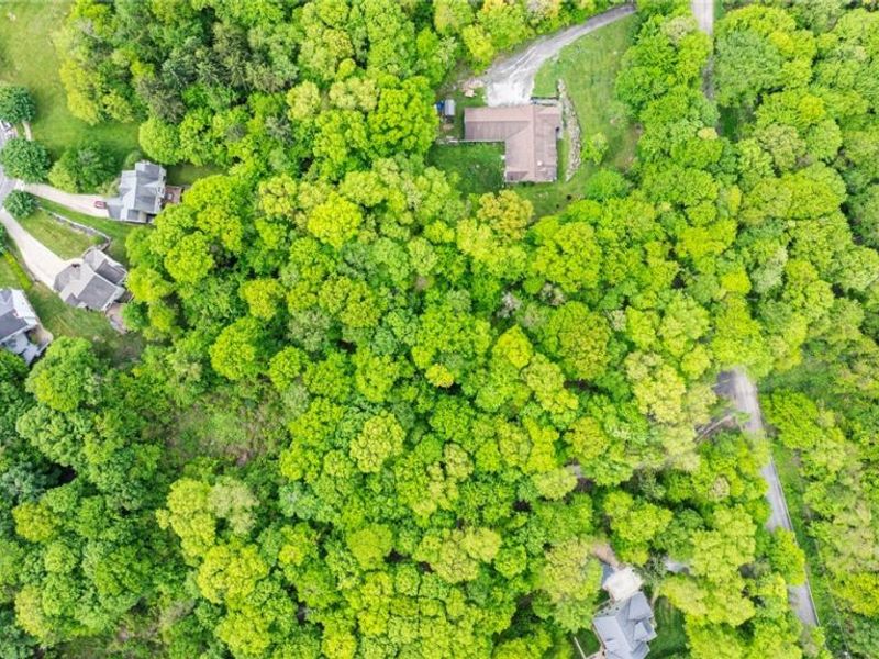 13561 Colony Lane , Burton, OH 44021 Photo 3