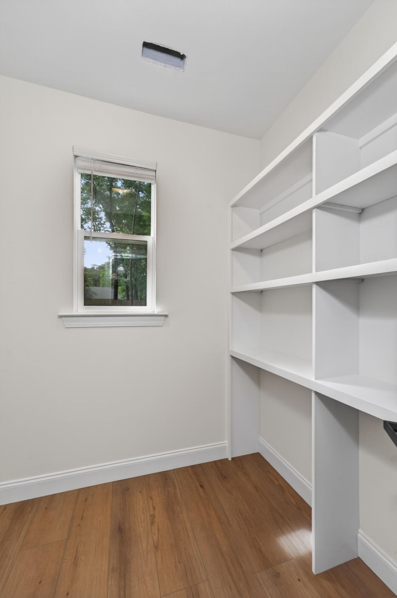 1019 Sago Court Photo 11