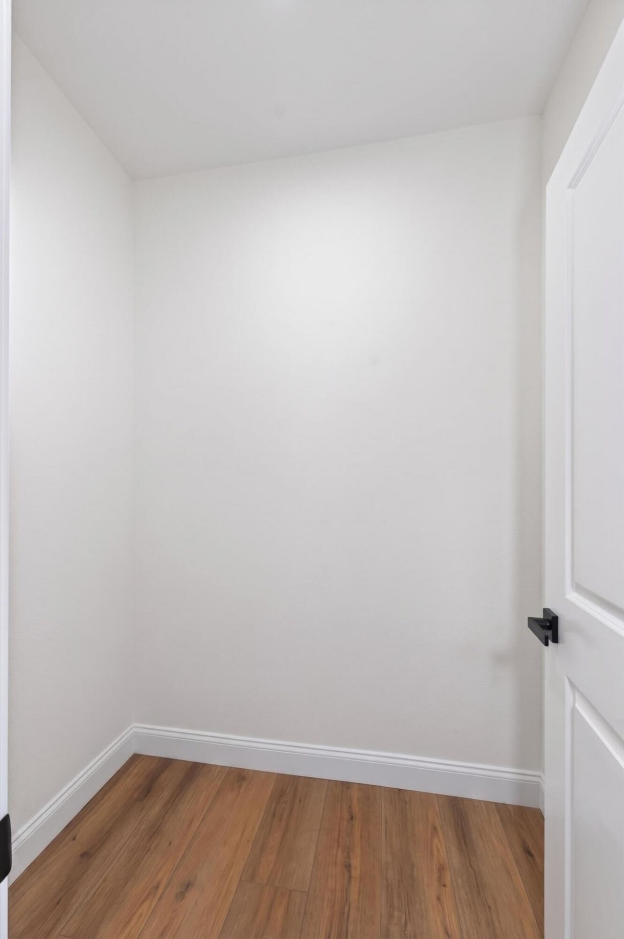 1019 Sago Court Photo 27
