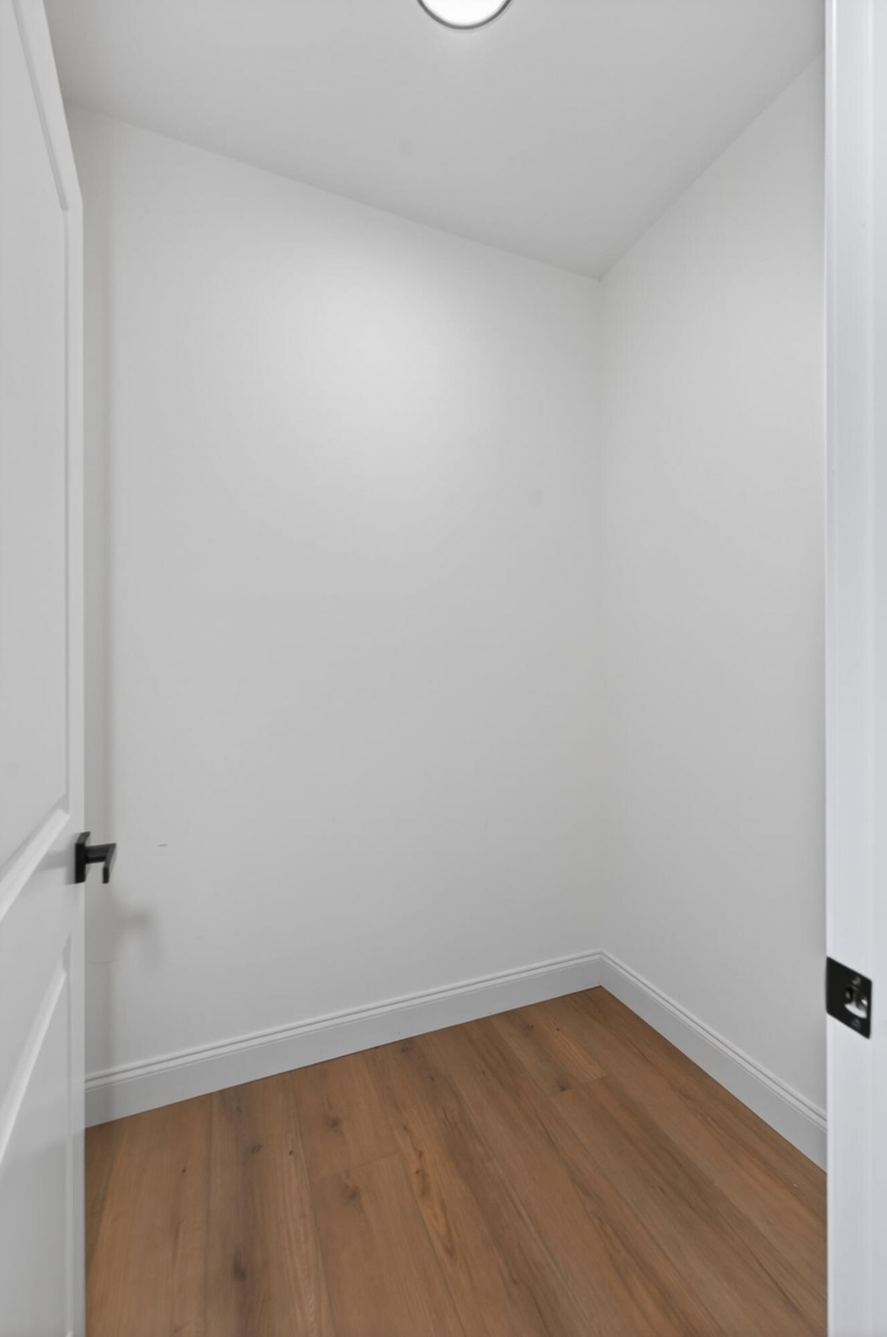 1019 Sago Court Photo 29