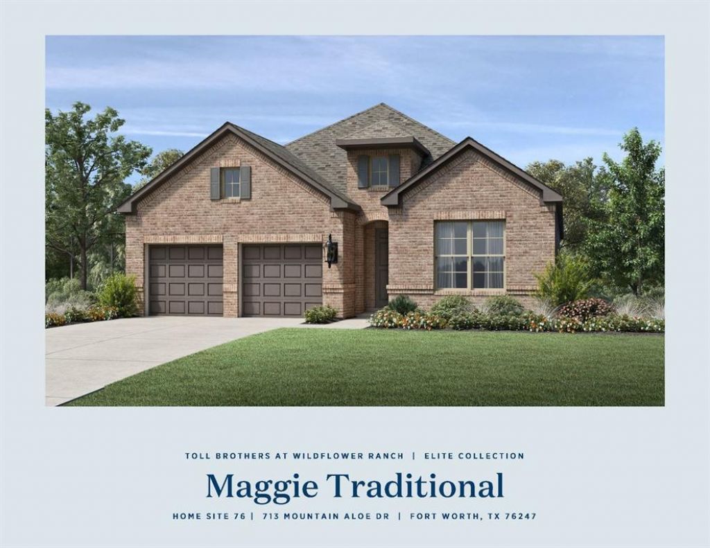 713 Mountain Aloe Drive, Fort Worth, TX 76247 Main Photo