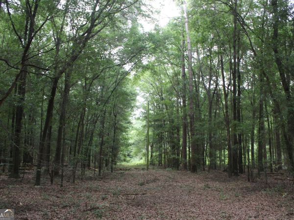 0 S State Route 49 Road, Oglethorpe, GA 31068