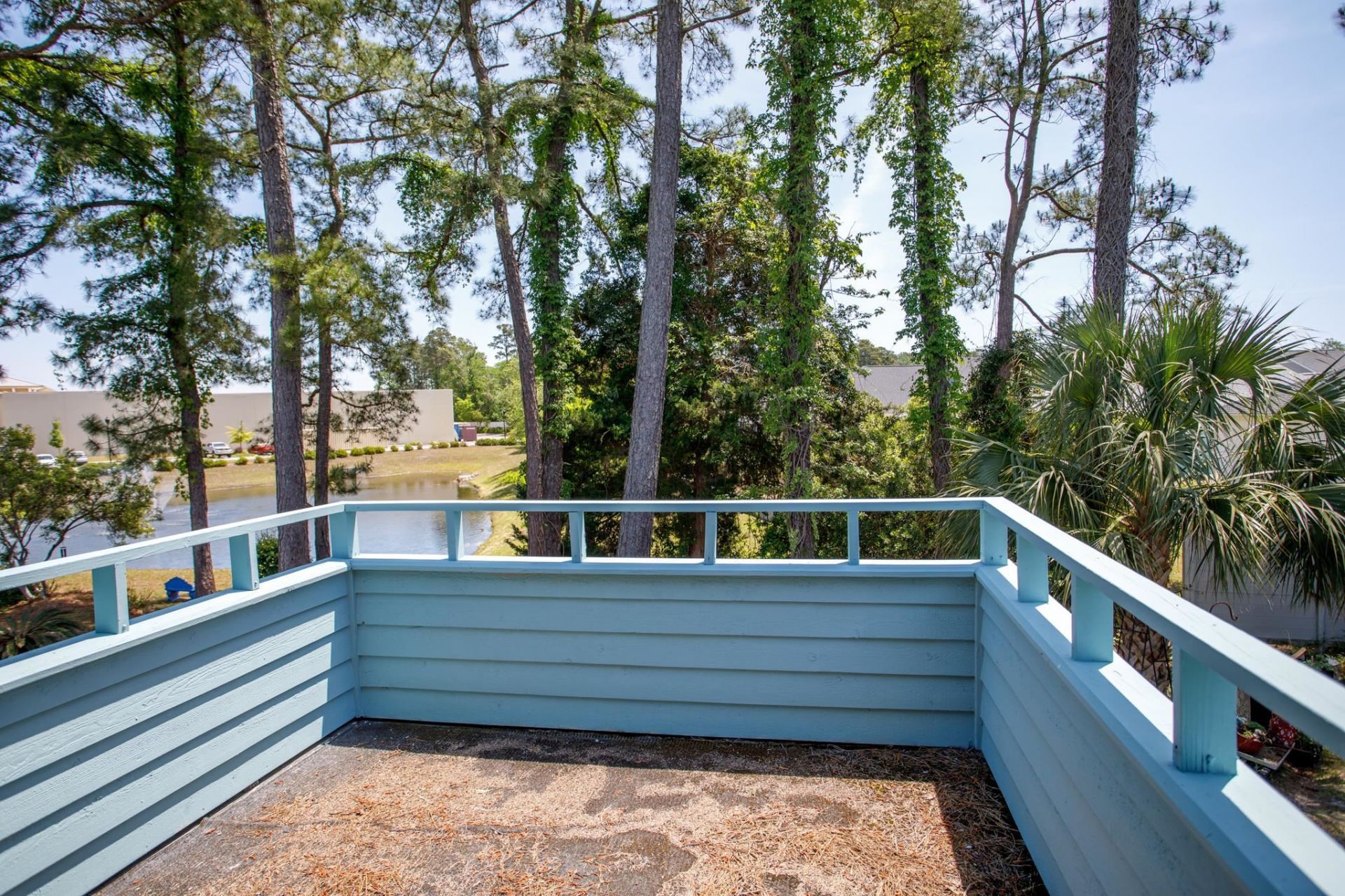 33 Shadow Moss Pl.  Photo 26