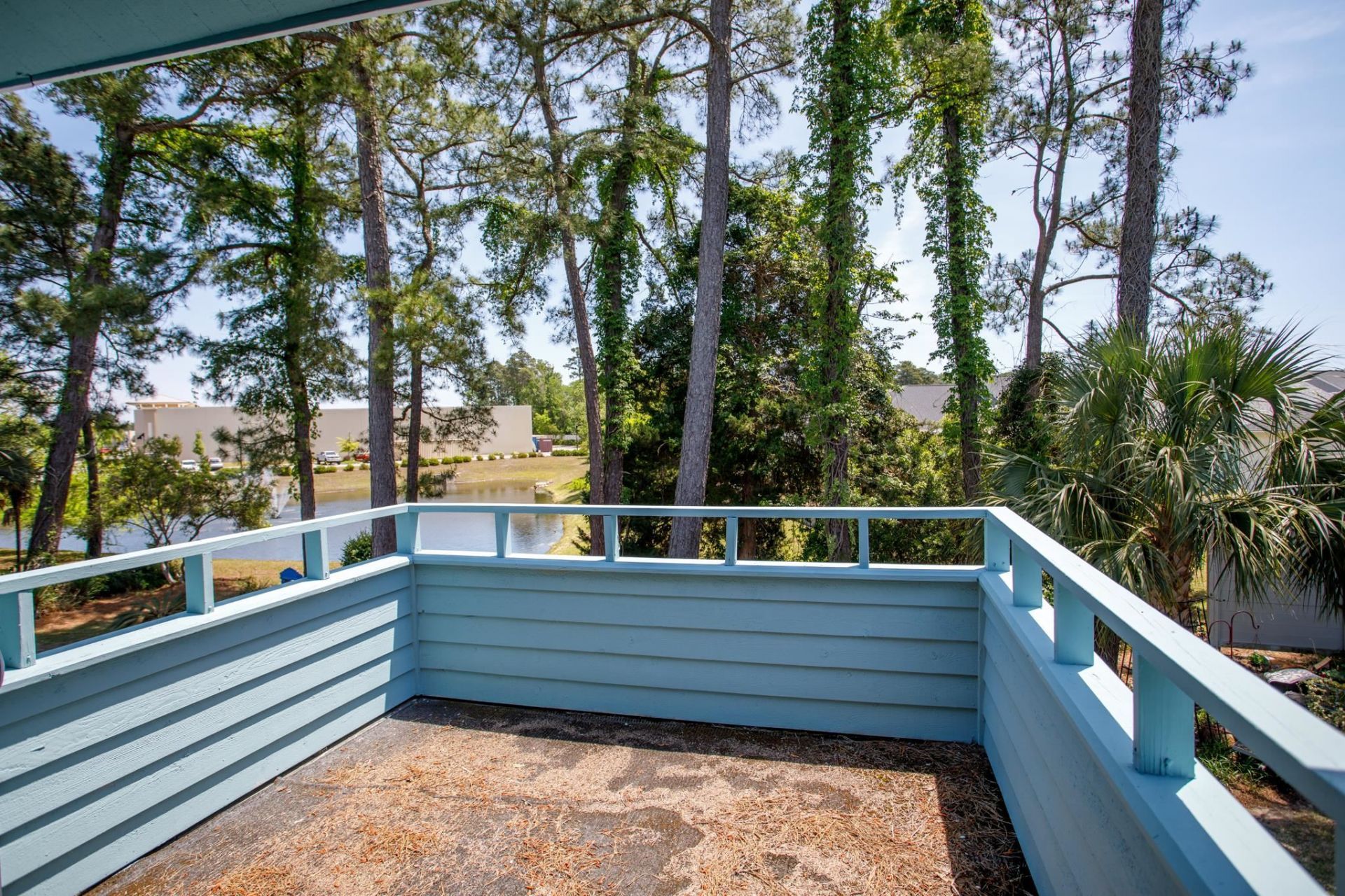 33 Shadow Moss Pl.  Photo 27