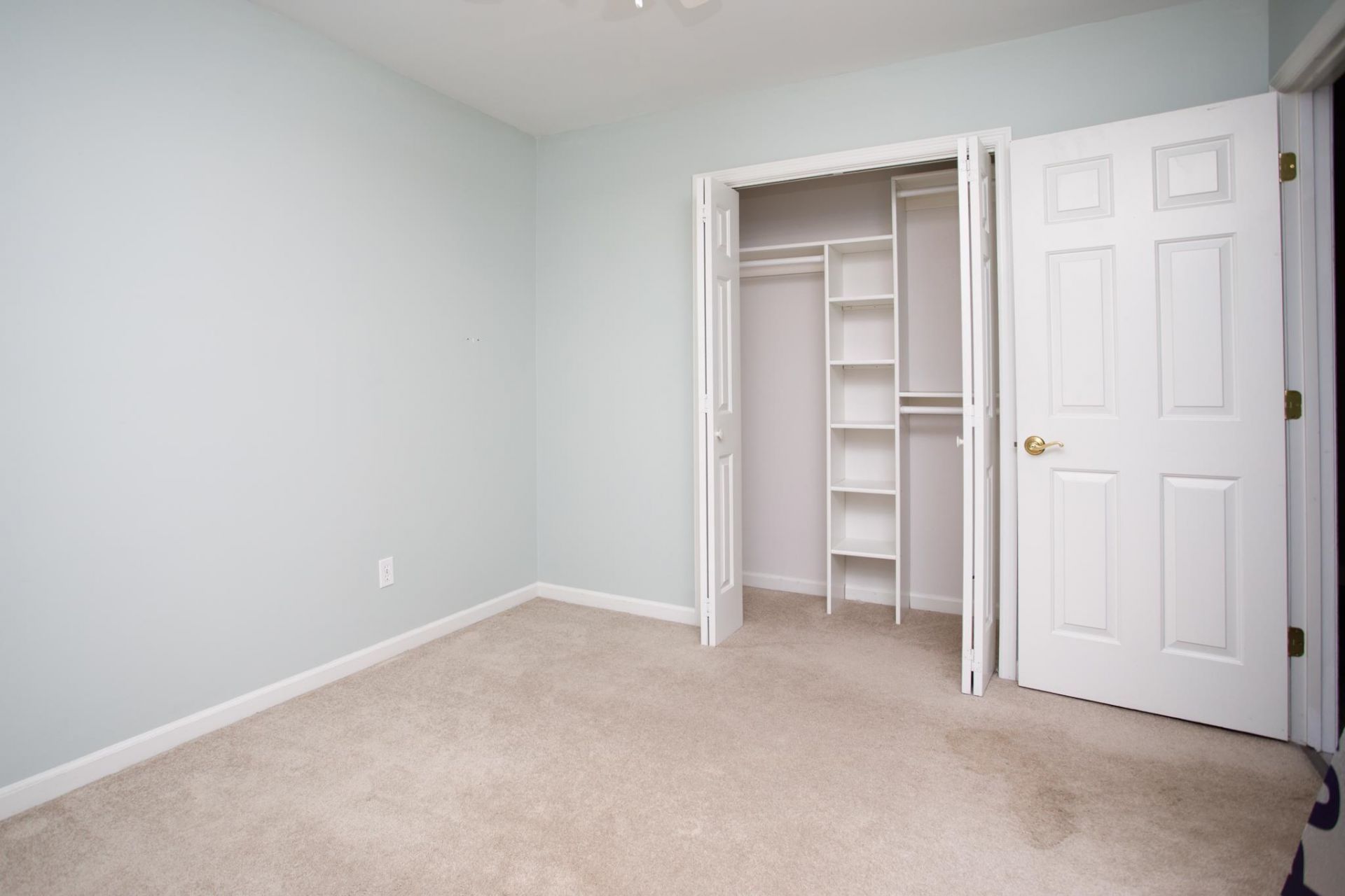33 Shadow Moss Pl.  Photo 30