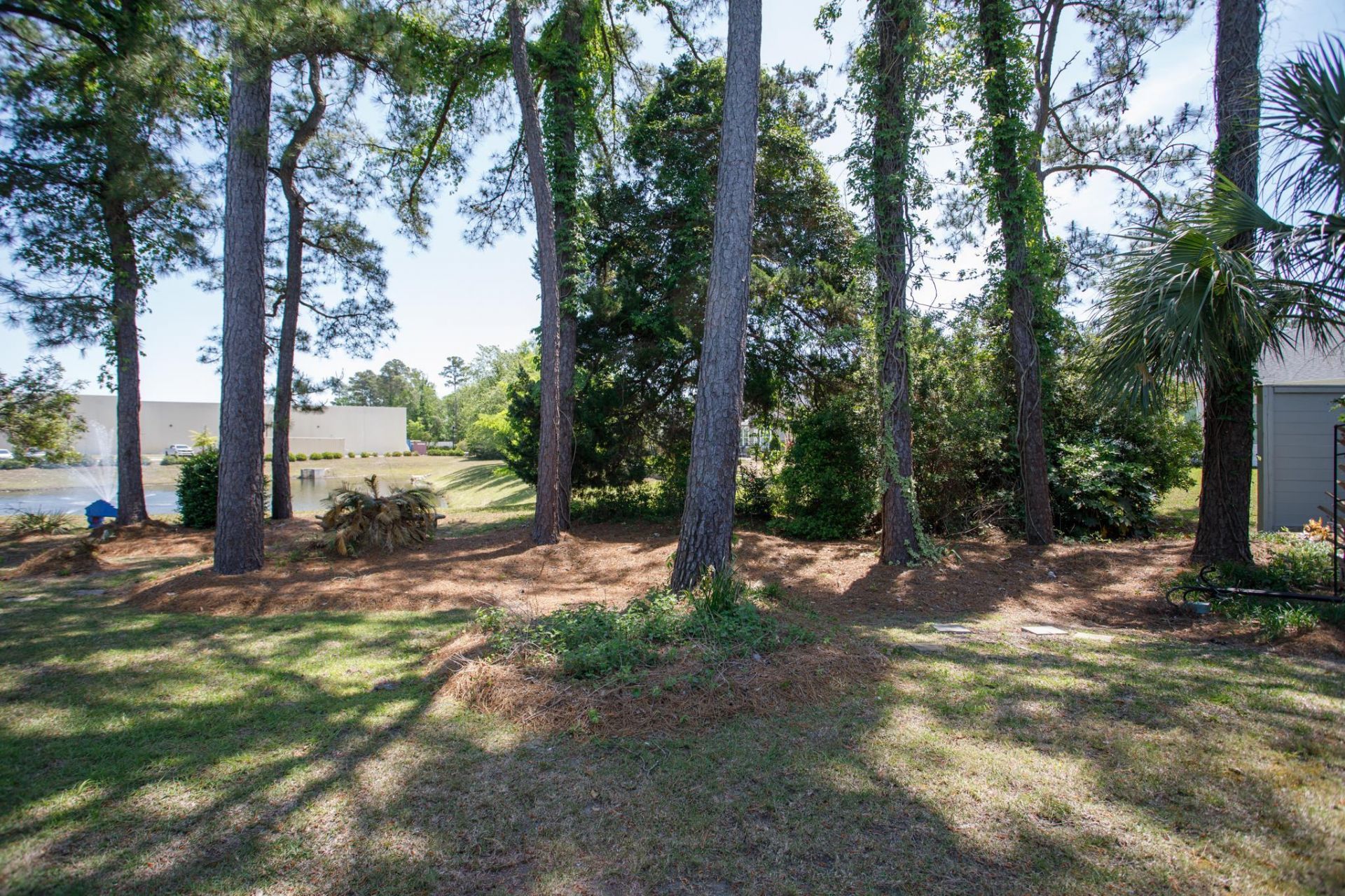 33 Shadow Moss Pl.  Photo 41