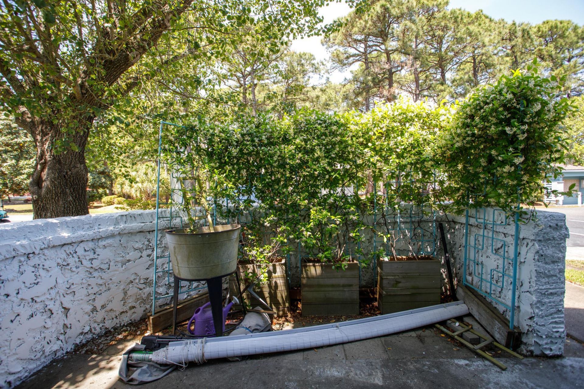 33 Shadow Moss Pl.  Photo 49
