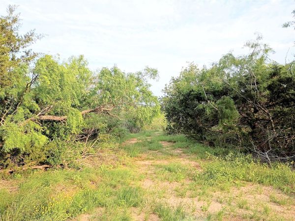 00 TBD LOT #20 Mesquite Dr DR, Cedar Creek, TX 78612