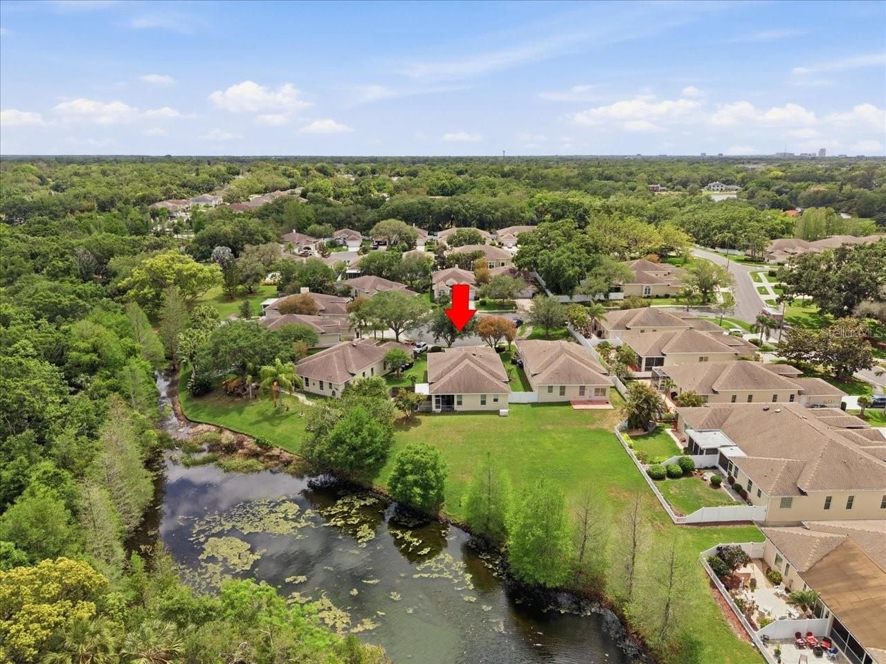 1154 Sarah Court, Dunedin, FL 34698 Photo