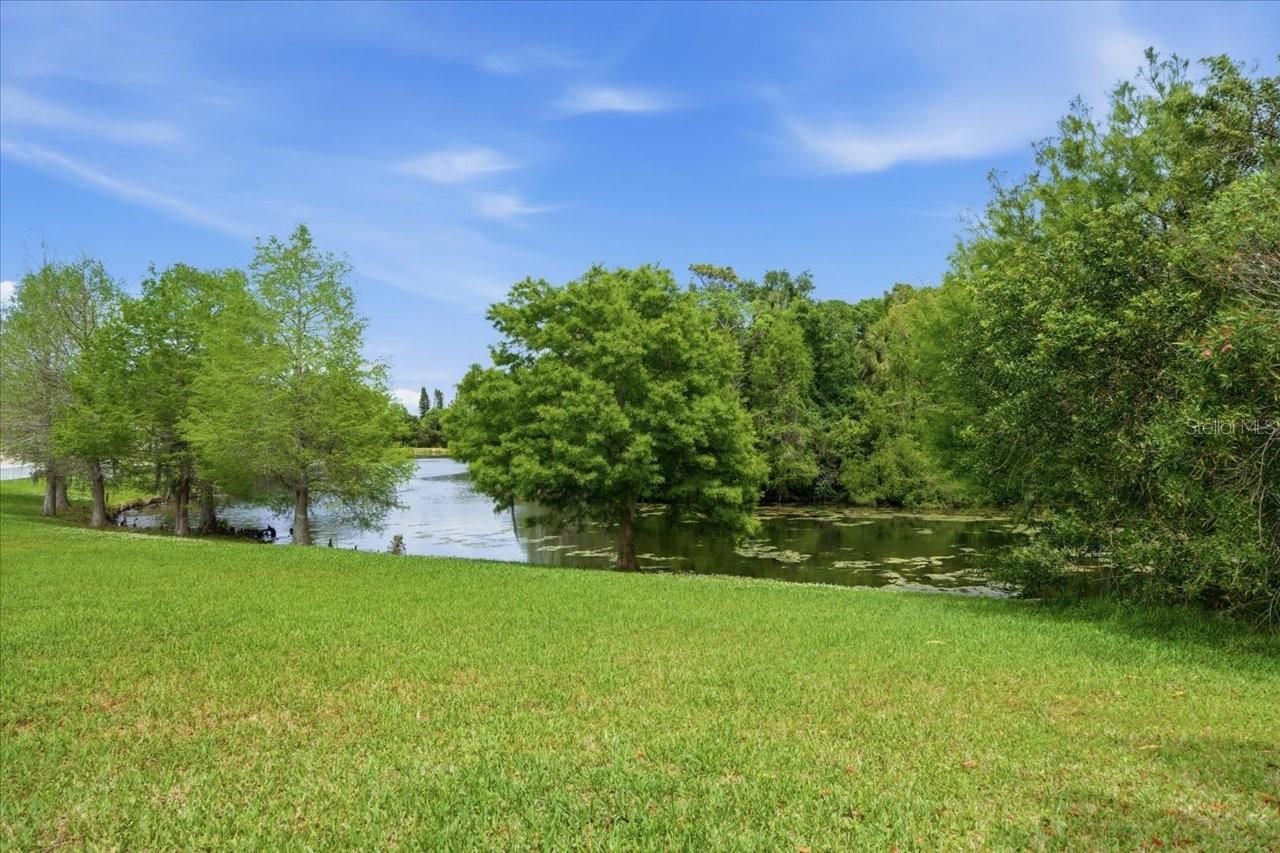 1154 Sarah Court, Dunedin, FL 34698 Photo