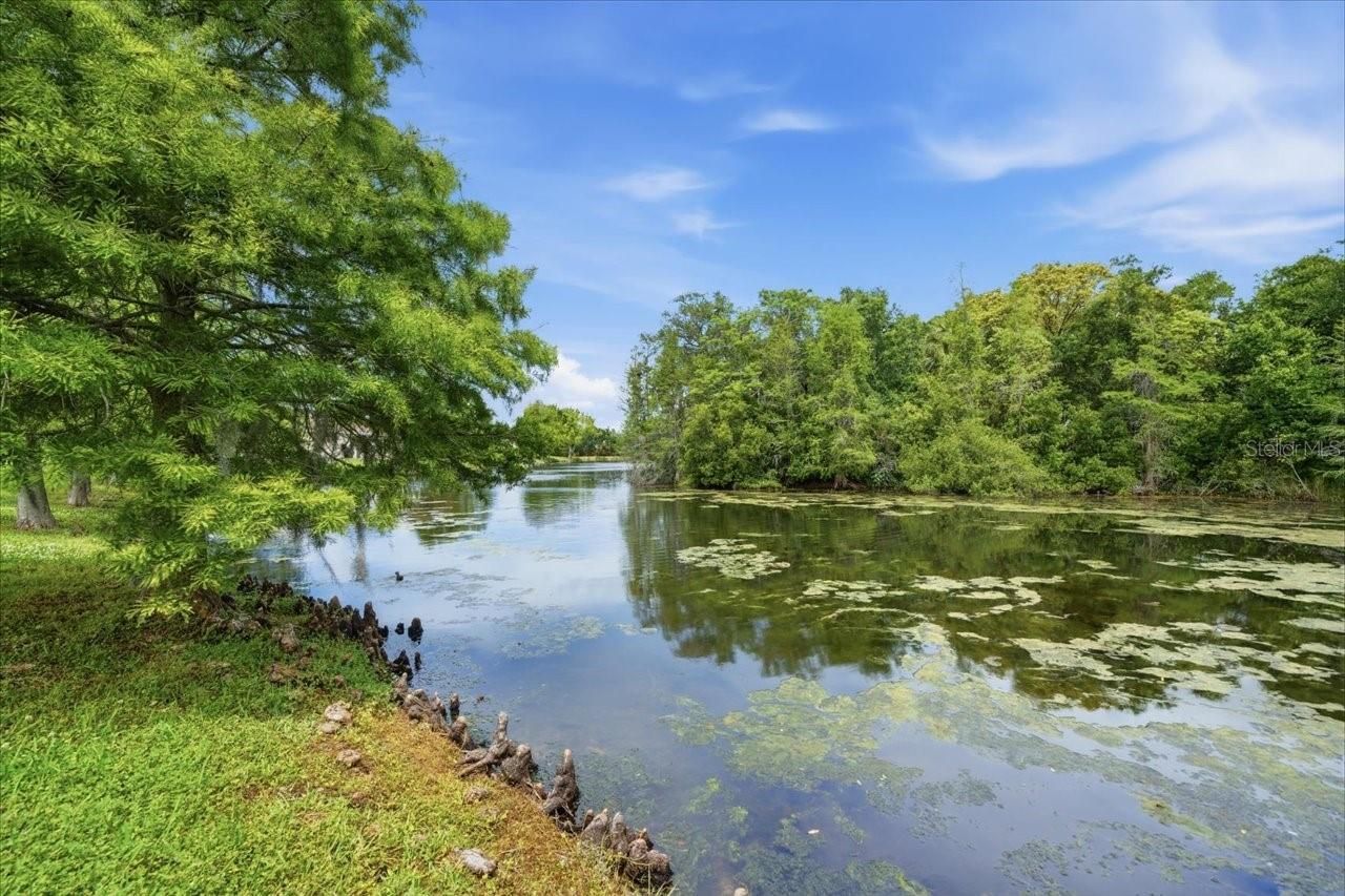 1154 Sarah Court, Dunedin, FL 34698 Photo