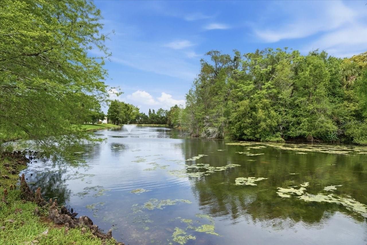 1154 Sarah Court, Dunedin, FL 34698 Photo