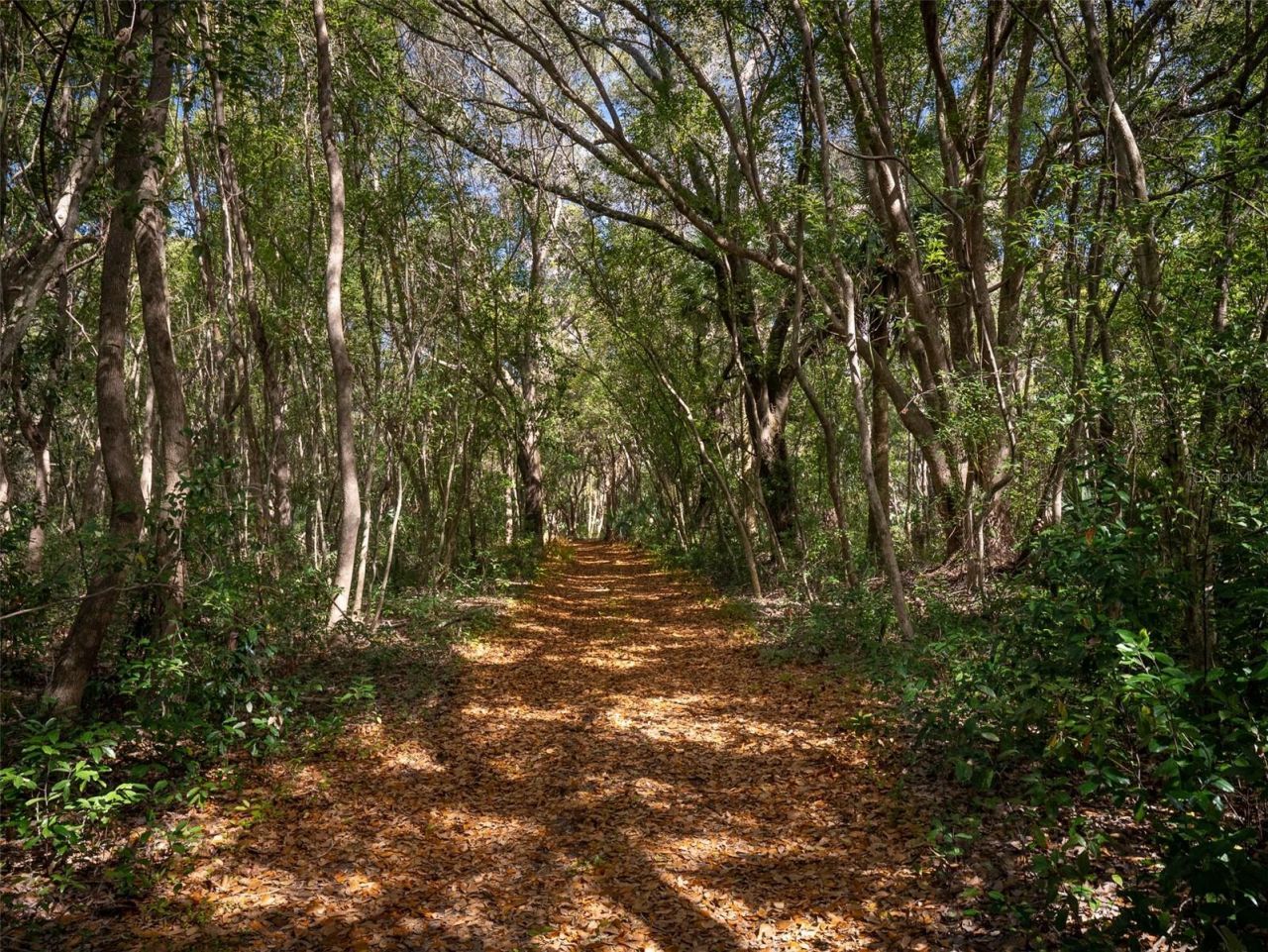 12495 SE Sunset Harbor Road, Weirsdale, FL 32195 Photo