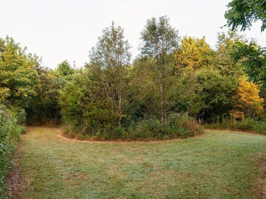 Property Image 80