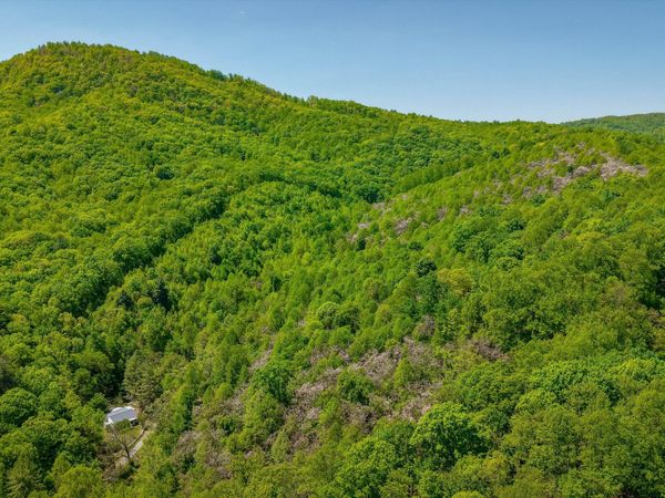 TBD AUDREY LN BLUE RIDGE, VA 24064 , Blue Ridge, VA 24064