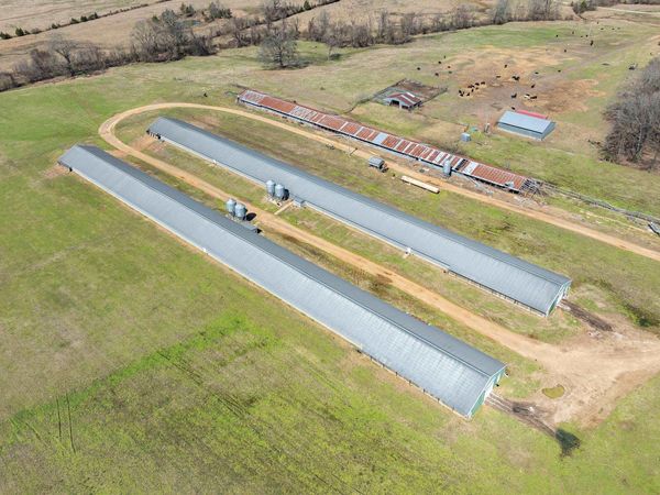 TBD Corbell Loop, Lockesburg, AR 71846