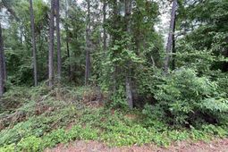 7008 Monticello Road photo 4