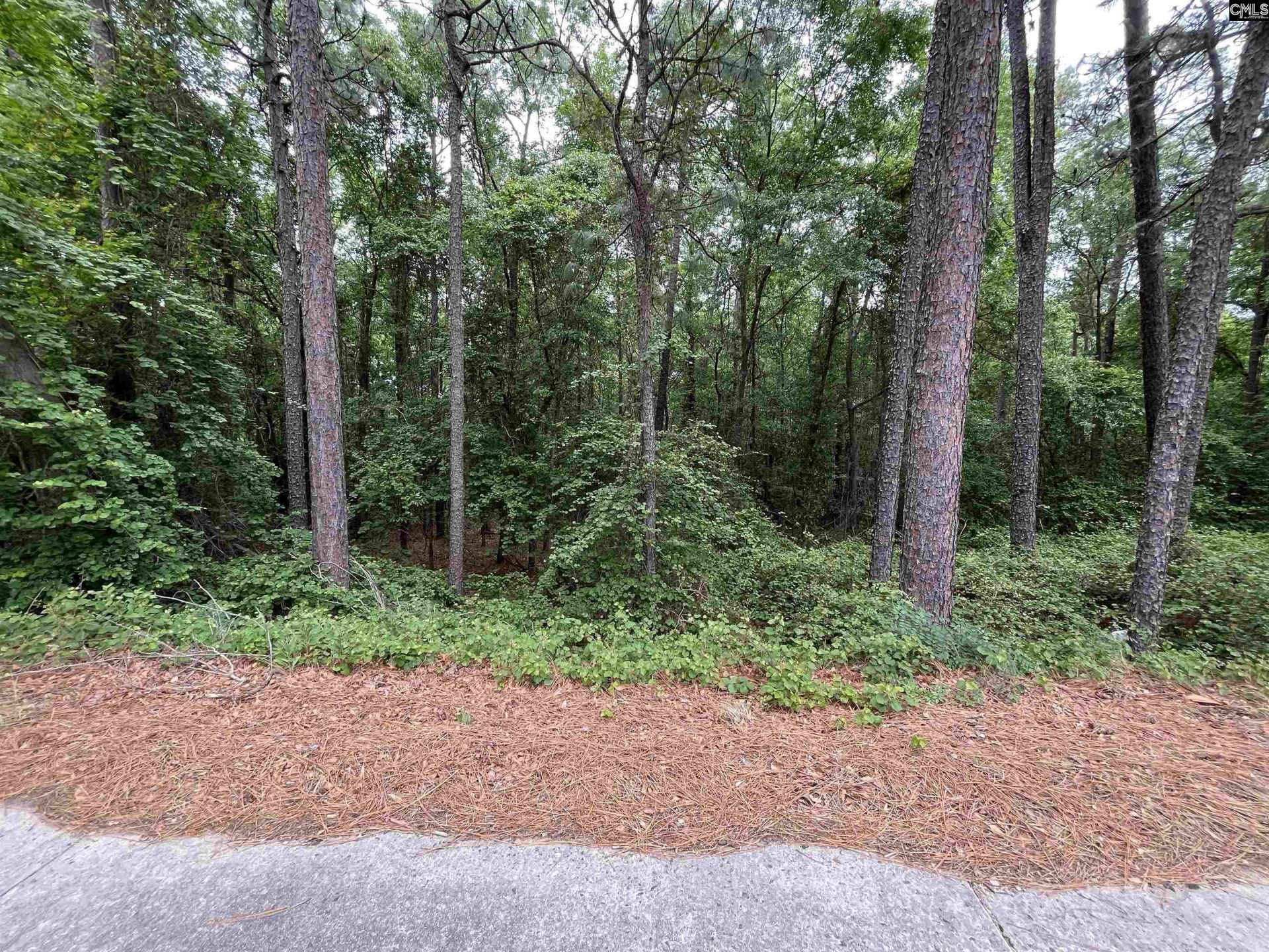 7008 Monticello Road Photo 4