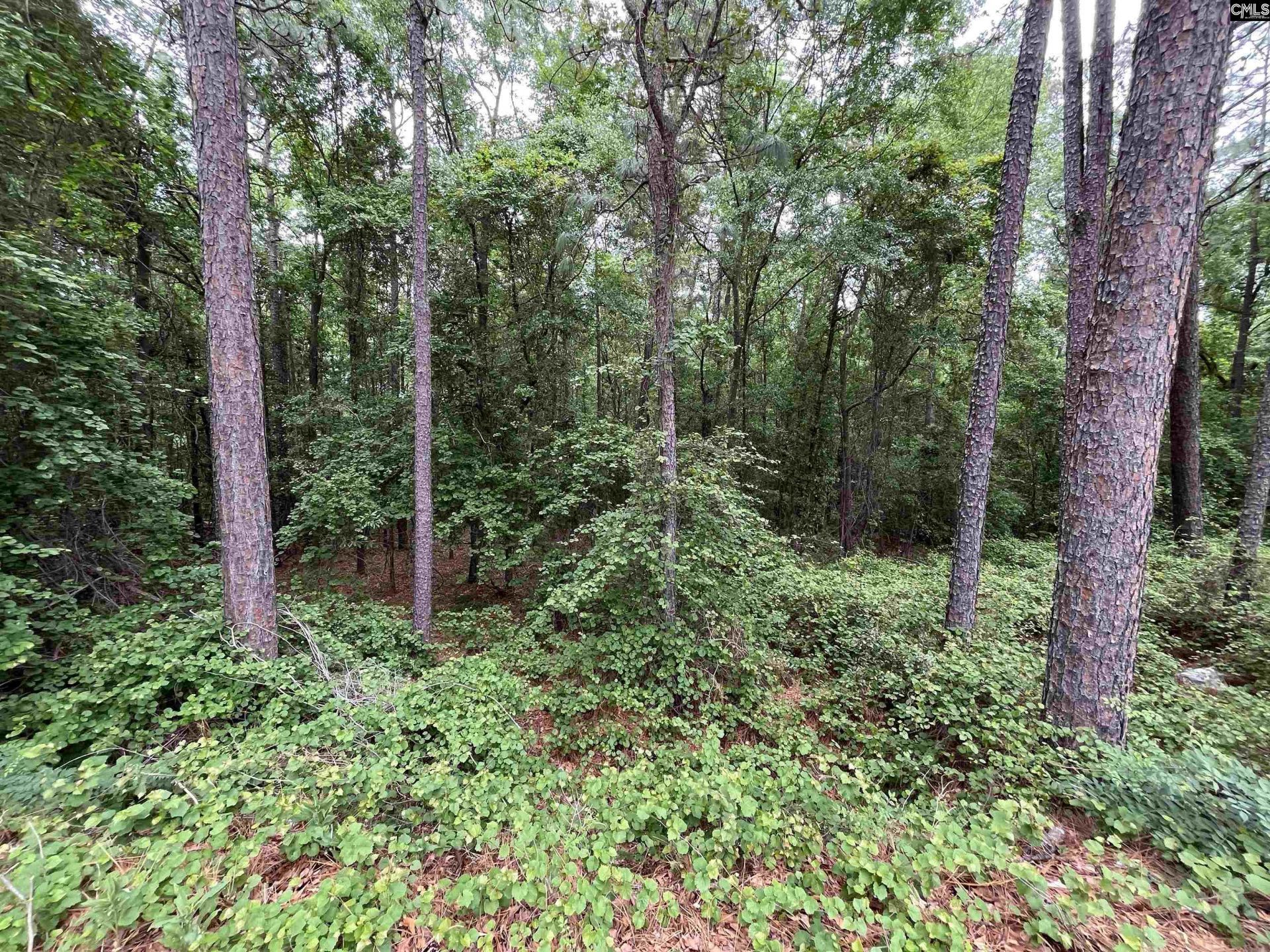 7008 Monticello Road Photo 5