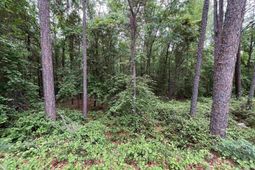 7008 Monticello Road photo 4