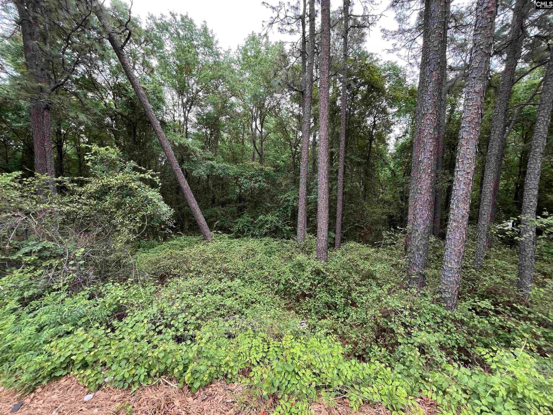 7008 Monticello Road Photo 6