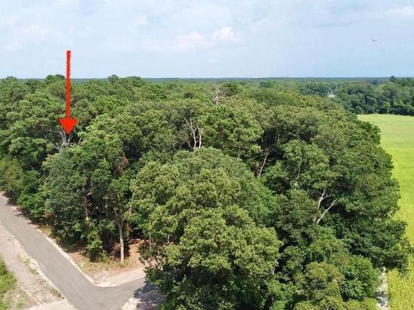 LOT 2 MOUNT JOY , MILLSBORO, DE 19966
